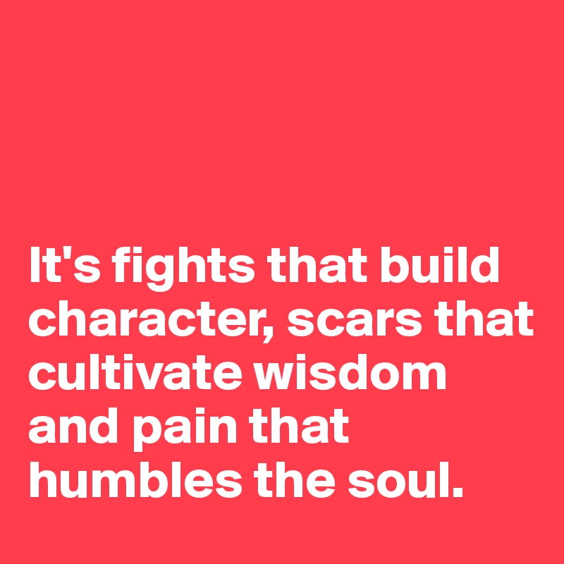 



It's fights that build character, scars that cultivate wisdom and pain that humbles the soul. 