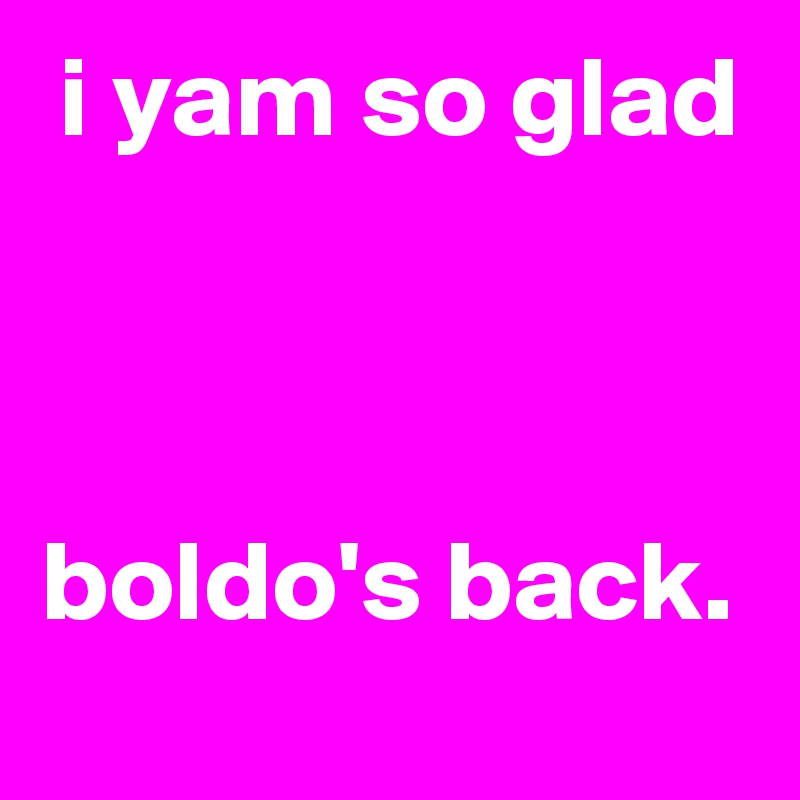 i yam so glad



boldo's back.