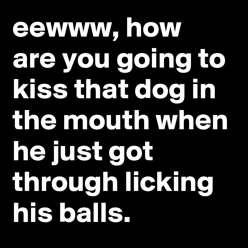 eewww, how are you going to kiss that dog in the mouth when he just got through licking his balls.