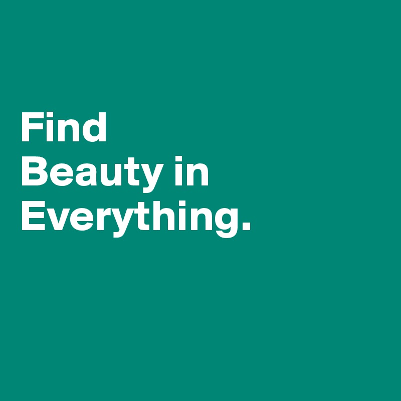 

Find 
Beauty in Everything. 



