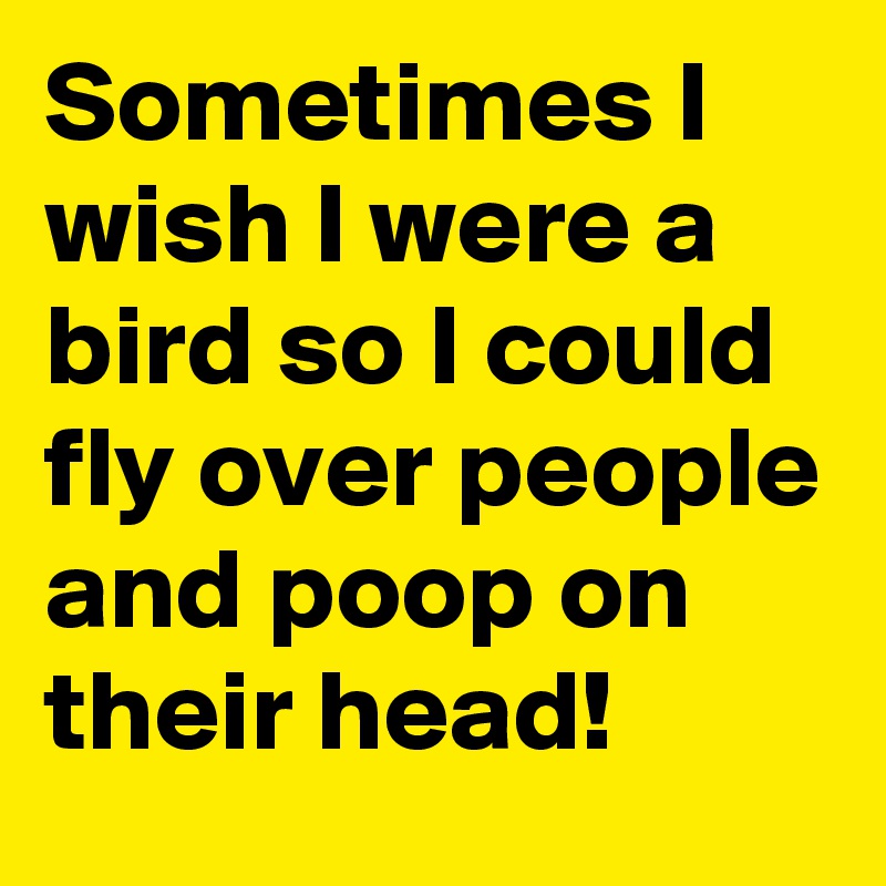 Sometimes I Wish I Were A Bird So I Could Fly Over People And Poop On Their Head Post By Ozziesmith On Boldomatic