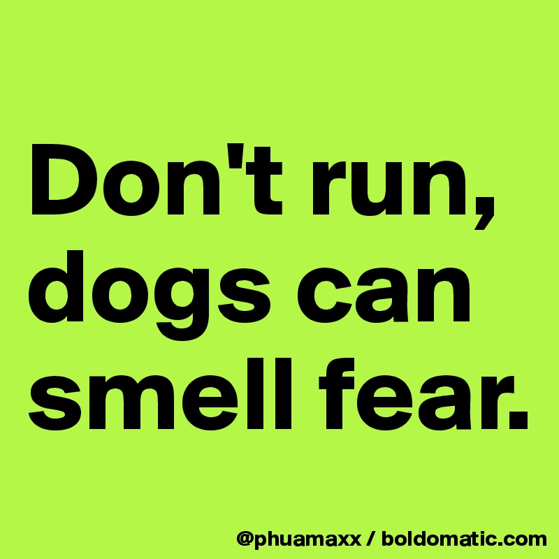 
Don't run, dogs can smell fear.