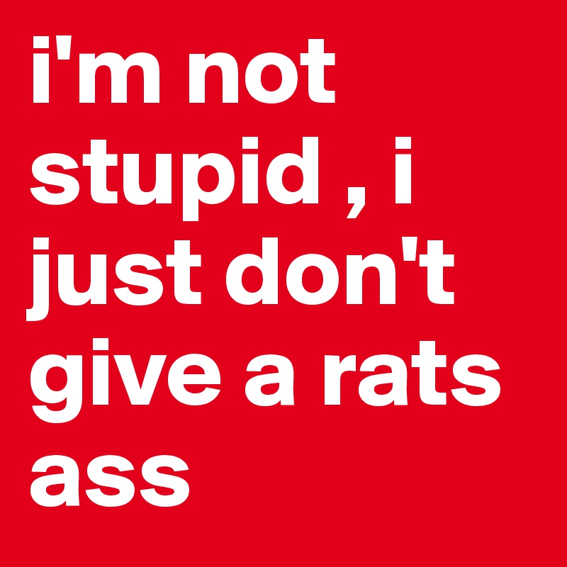 i'm not stupid , i just don't give a rats ass