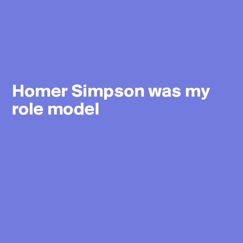 



Homer Simpson was my role model 





