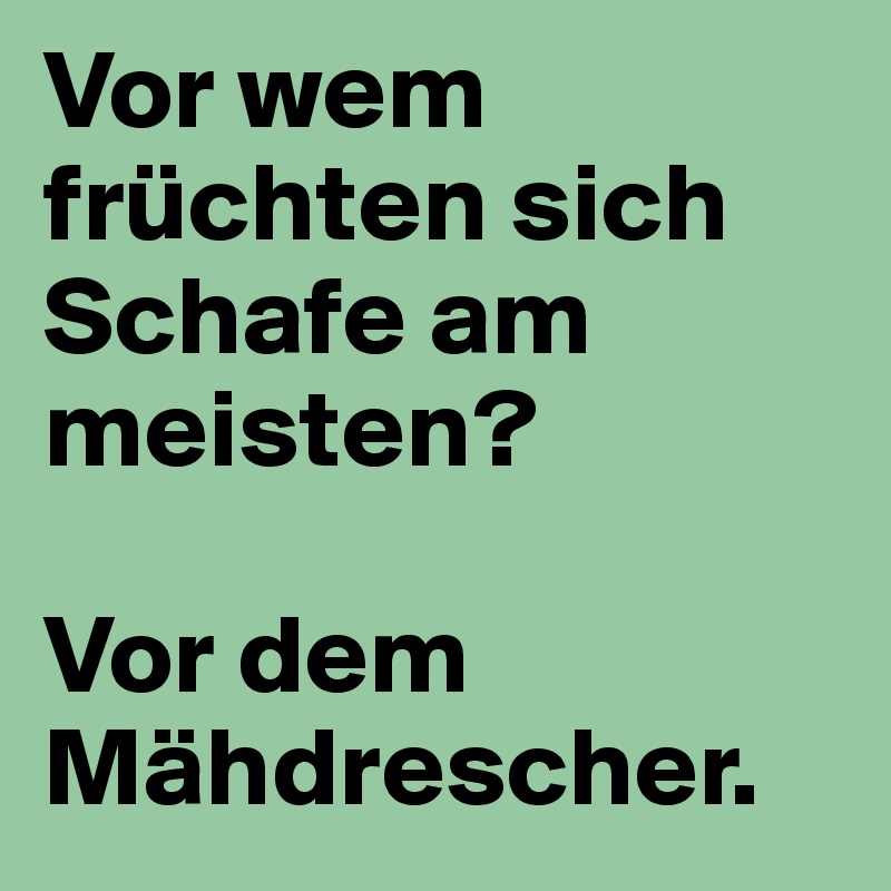 Vor wem früchten sich Schafe am meisten?

Vor dem Mähdrescher. 