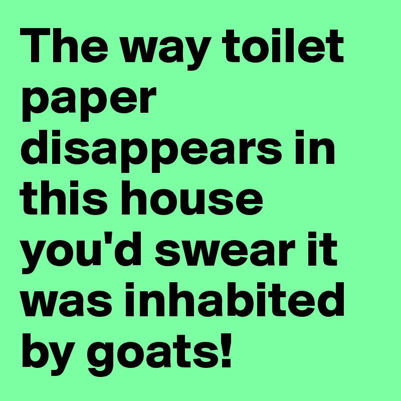 The way toilet paper disappears in this house you'd swear it was inhabited by goats!