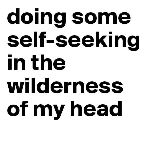 doing some self-seeking in the wilderness of my head