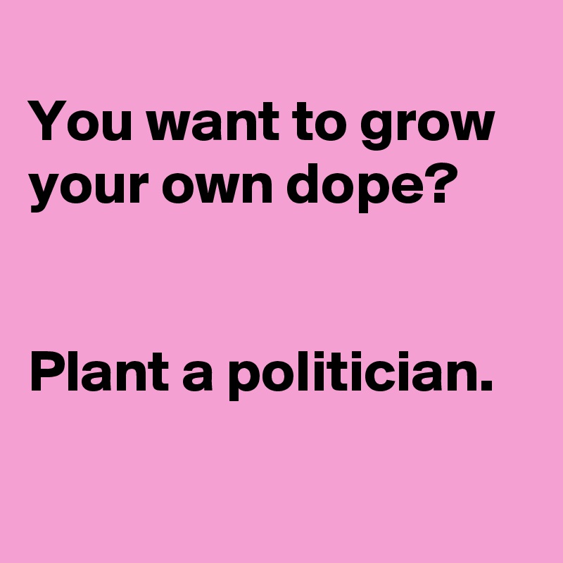 
You want to grow your own dope?


Plant a politician. 

