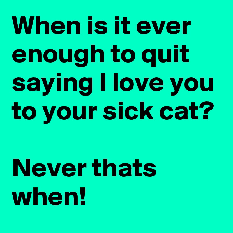 When is it ever enough to quit saying I love you to your sick cat?

Never thats when!