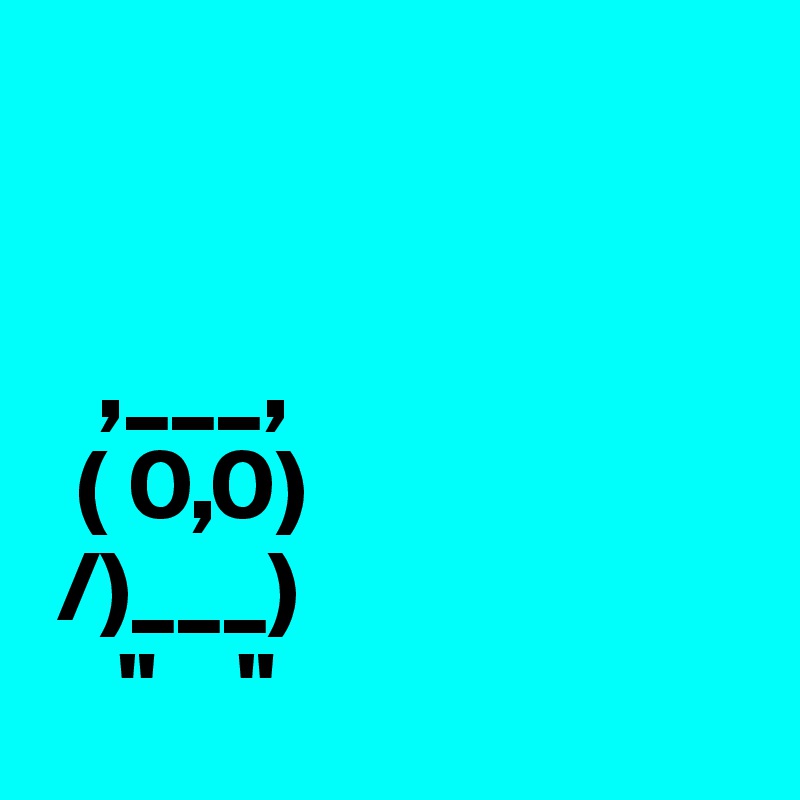  


   ,___,
  ( 0,0)
 /)___)
    "    "