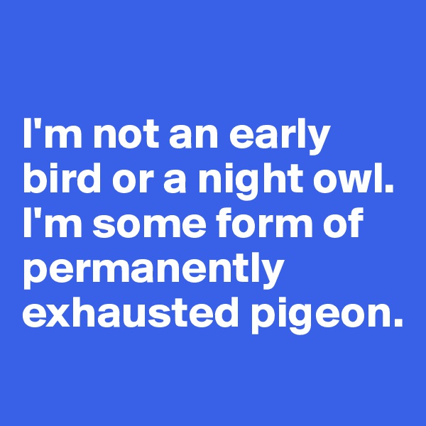 

I'm not an early bird or a night owl. I'm some form of permanently exhausted pigeon.
