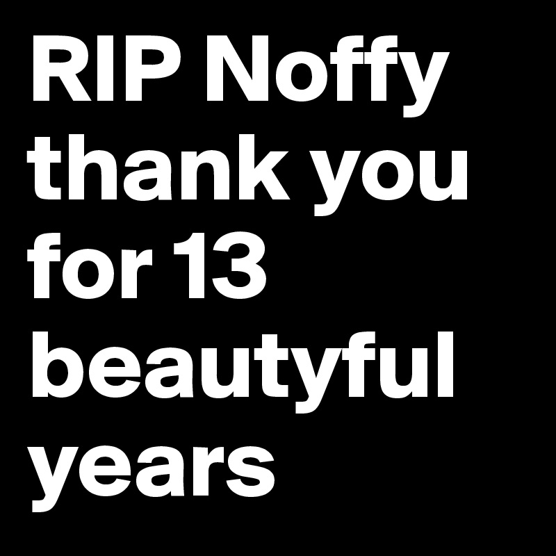 RIP Noffy
thank you for 13 beautyful years