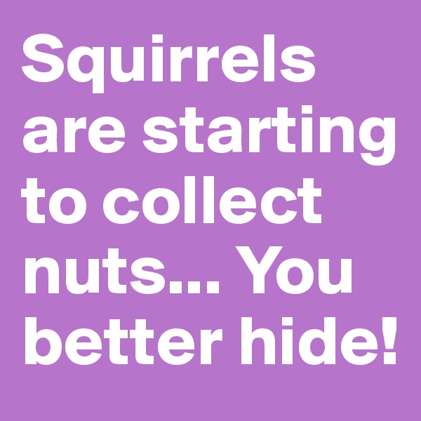 Squirrels are starting to collect nuts... You better hide!