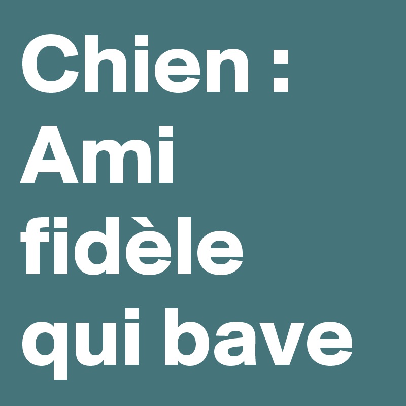 Chien : Ami fidèle qui bave