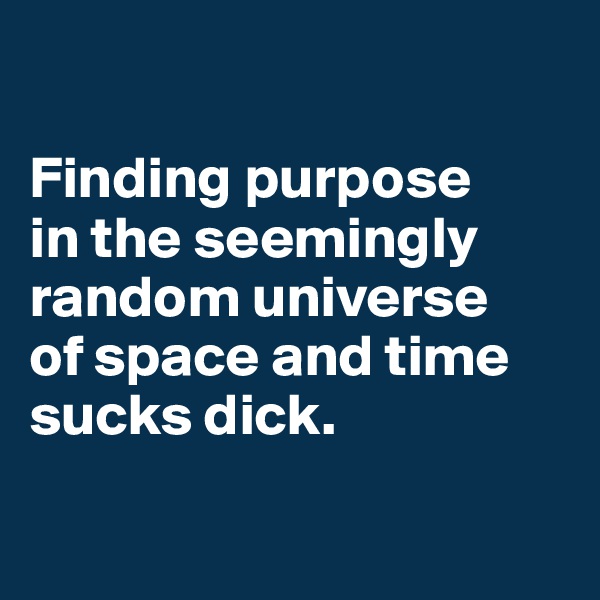 

Finding purpose 
in the seemingly random universe 
of space and time sucks dick.

