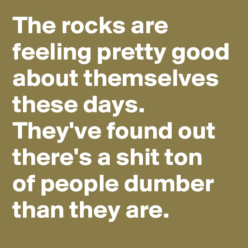 The rocks are feeling pretty good about themselves these days.
They've found out there's a shit ton of people dumber than they are.