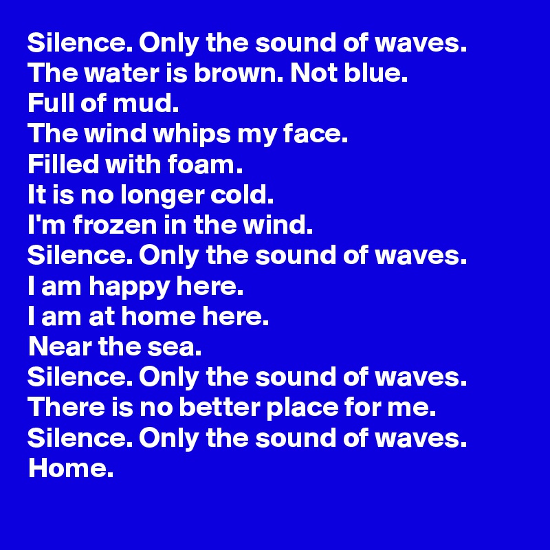Silence. Only the sound of waves.
The water is brown. Not blue.
Full of mud.
The wind whips my face.
Filled with foam.
It is no longer cold.
I'm frozen in the wind.
Silence. Only the sound of waves.
I am happy here.
I am at home here.
Near the sea.
Silence. Only the sound of waves.
There is no better place for me.
Silence. Only the sound of waves.
Home.
