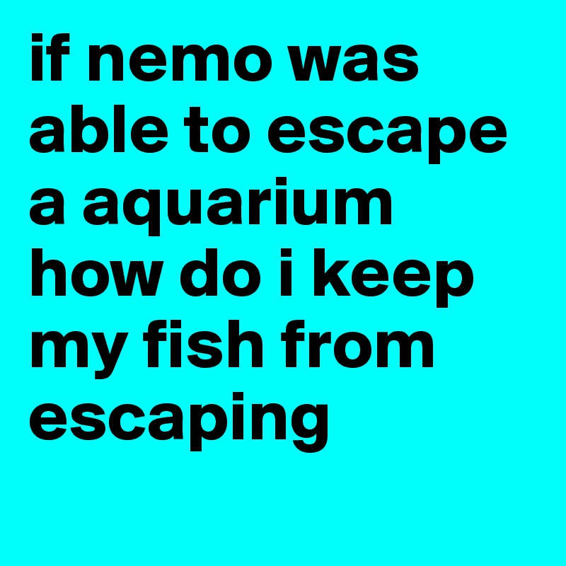 if nemo was able to escape a aquarium how do i keep my fish from escaping
