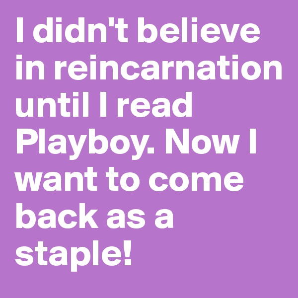 I didn't believe 
in reincarnation until I read Playboy. Now I want to come back as a staple!