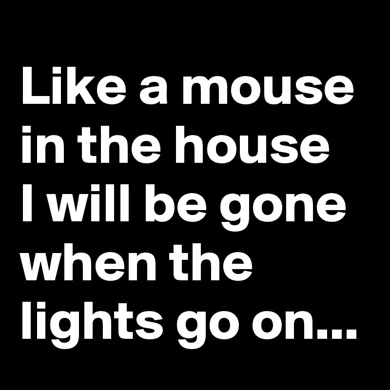 Like a mouse in the house 
I will be gone when the lights go on...