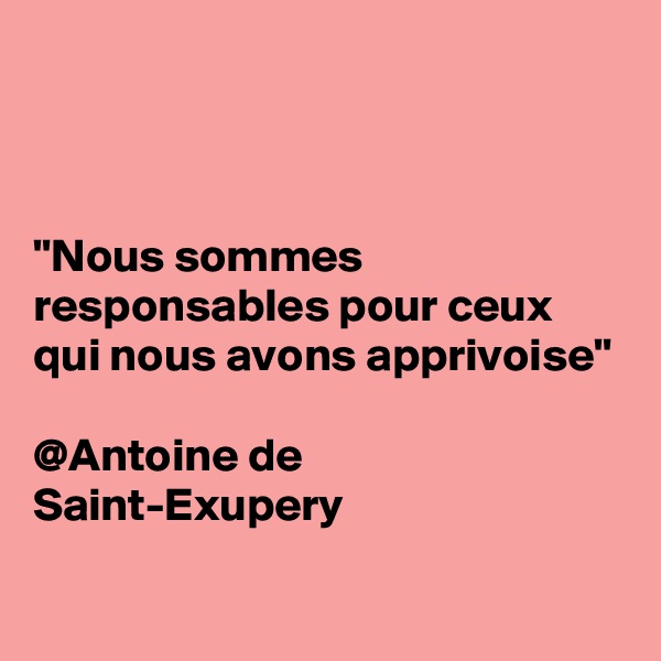 



"Nous sommes responsables pour ceux qui nous avons apprivoise" 

@Antoine de Saint-Exupery
