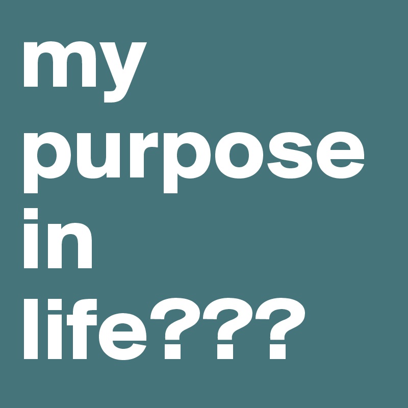 my purpose in life???