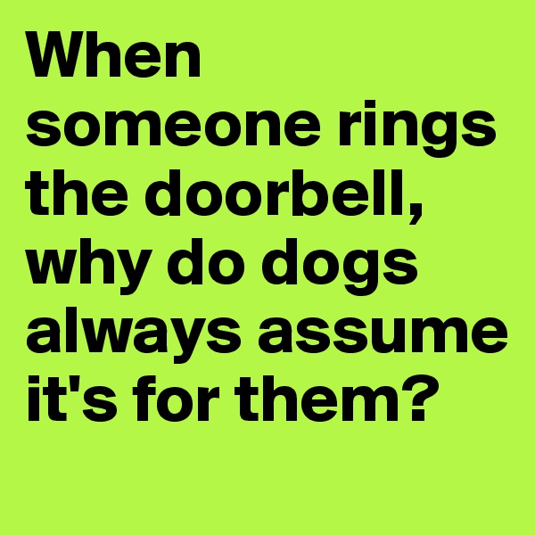 When someone rings the doorbell, why do dogs always assume it's for them?