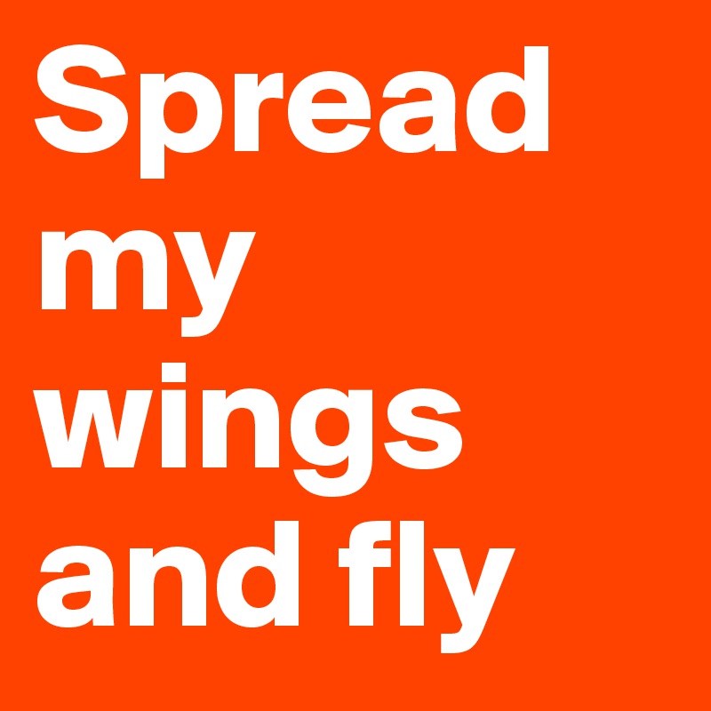 Spread my wings and fly