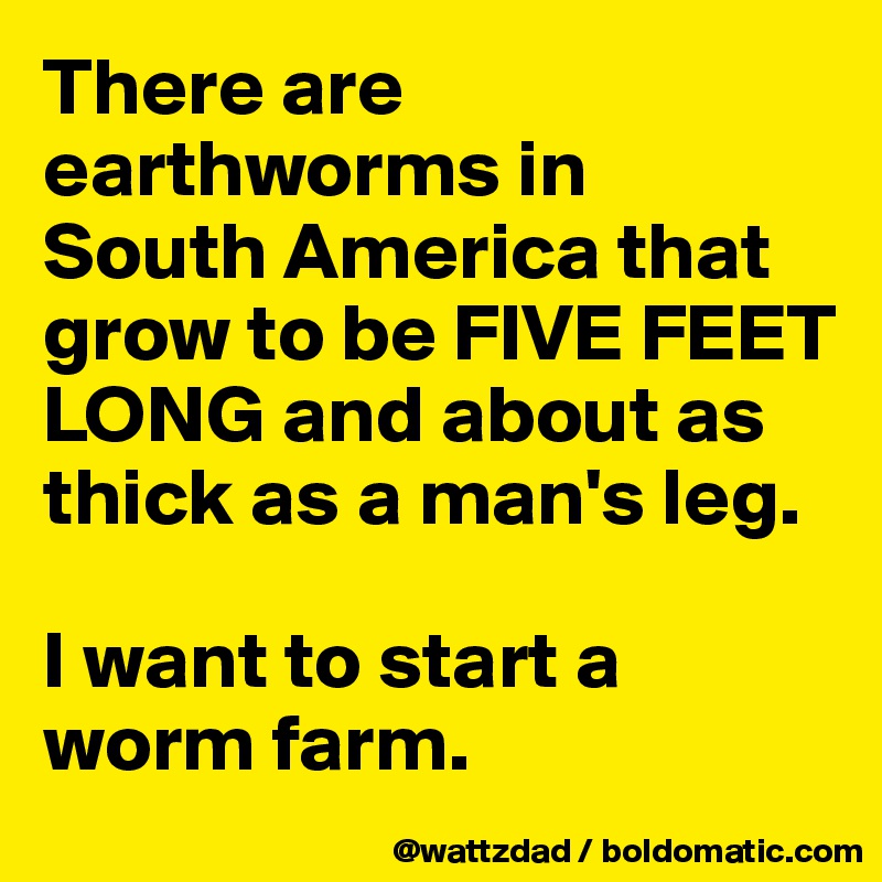 There are earthworms in    South America that grow to be FIVE FEET LONG and about as thick as a man's leg.  

I want to start a worm farm.  