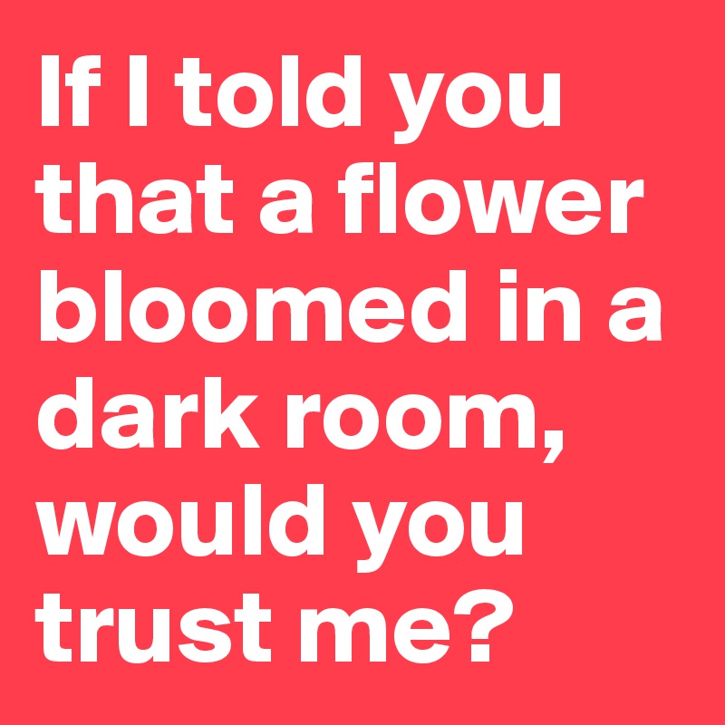 If I told you that a flower bloomed in a dark room, would you trust me? 
