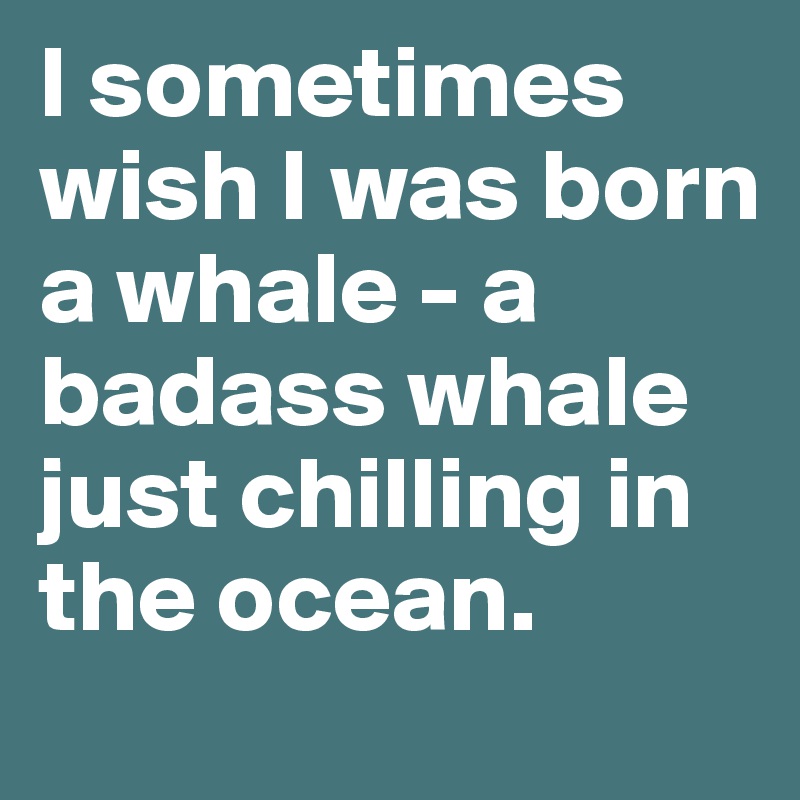 I sometimes wish I was born a whale - a badass whale just chilling in the ocean. 