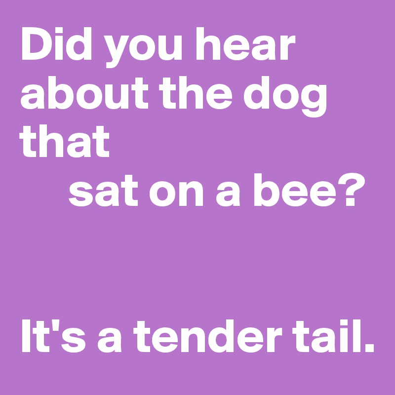 Did you hear about the dog that
     sat on a bee?


It's a tender tail.