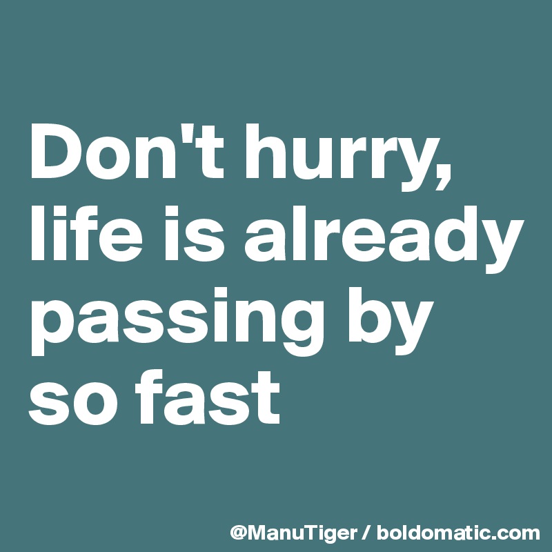 
Don't hurry,
life is already passing by so fast