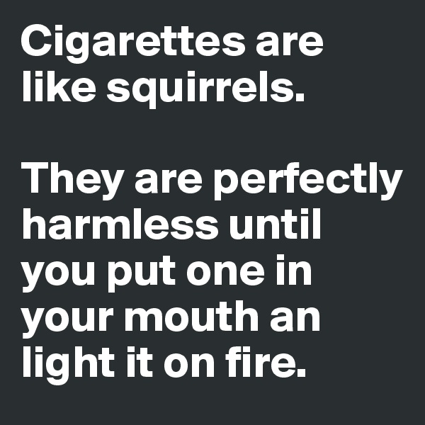 Cigarettes are like squirrels.

They are perfectly harmless until you put one in your mouth an light it on fire.