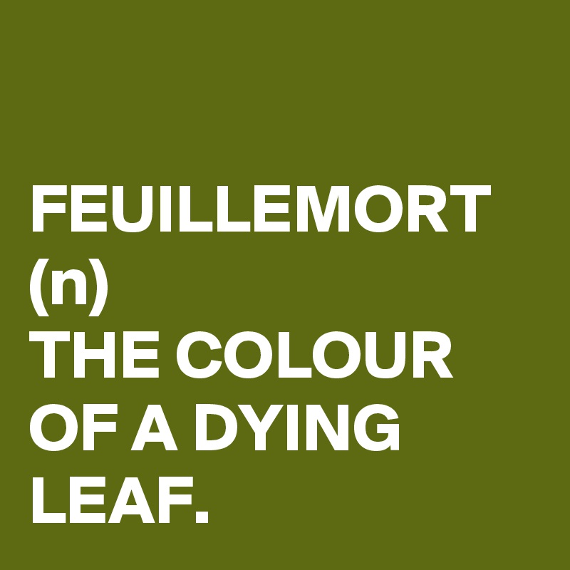 

FEUILLEMORT (n) 
THE COLOUR OF A DYING LEAF.