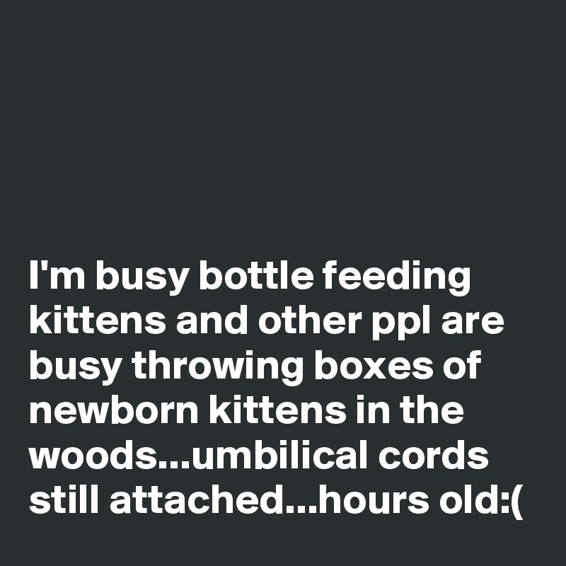 




I'm busy bottle feeding kittens and other ppl are busy throwing boxes of newborn kittens in the woods...umbilical cords still attached...hours old:(