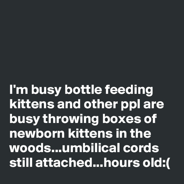 




I'm busy bottle feeding kittens and other ppl are busy throwing boxes of newborn kittens in the woods...umbilical cords still attached...hours old:(