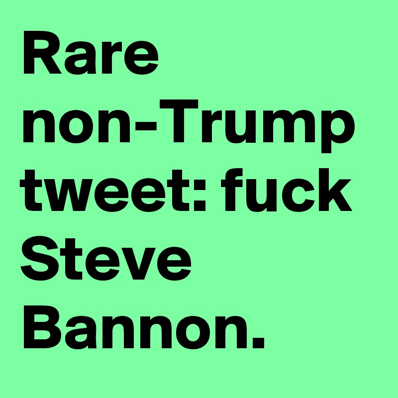 Rare non-Trump tweet: fuck Steve Bannon.