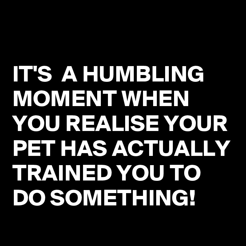 

IT'S  A HUMBLING MOMENT WHEN YOU REALISE YOUR PET HAS ACTUALLY TRAINED YOU TO DO SOMETHING!