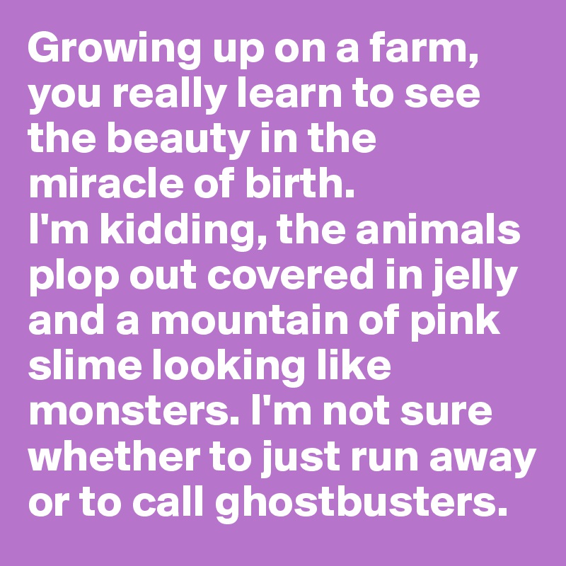 Growing up on a farm, you really learn to see the beauty in the miracle of birth.
I'm kidding, the animals plop out covered in jelly and a mountain of pink slime looking like monsters. I'm not sure whether to just run away or to call ghostbusters.