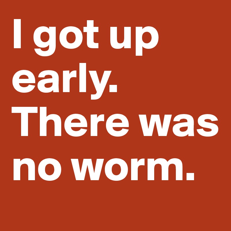 I got up early. 
There was no worm. 