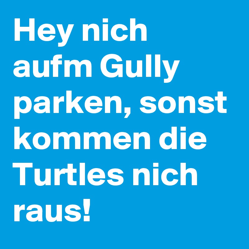 Hey nich aufm Gully parken, sonst kommen die Turtles nich raus!