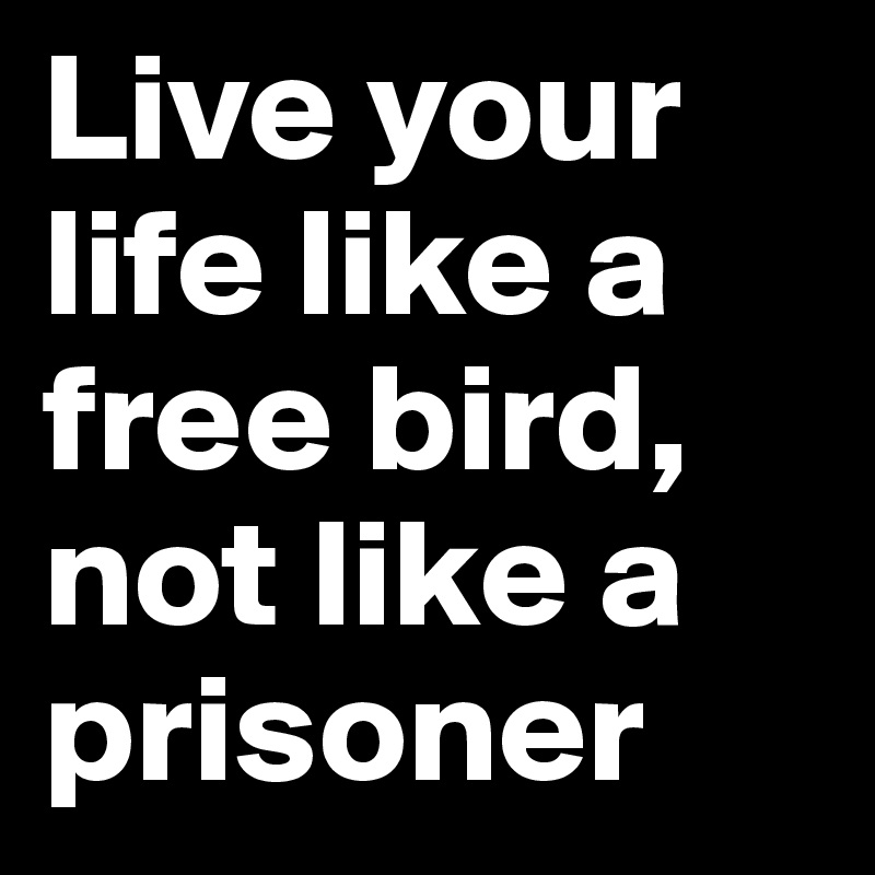 Live your life like a free bird, not like a prisoner