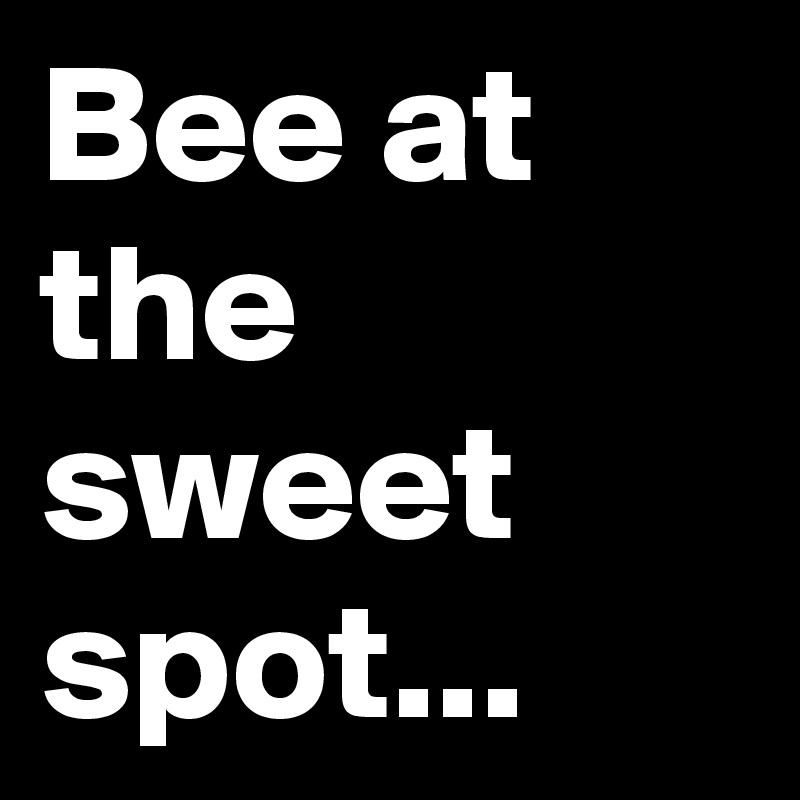 Bee at the sweet spot...