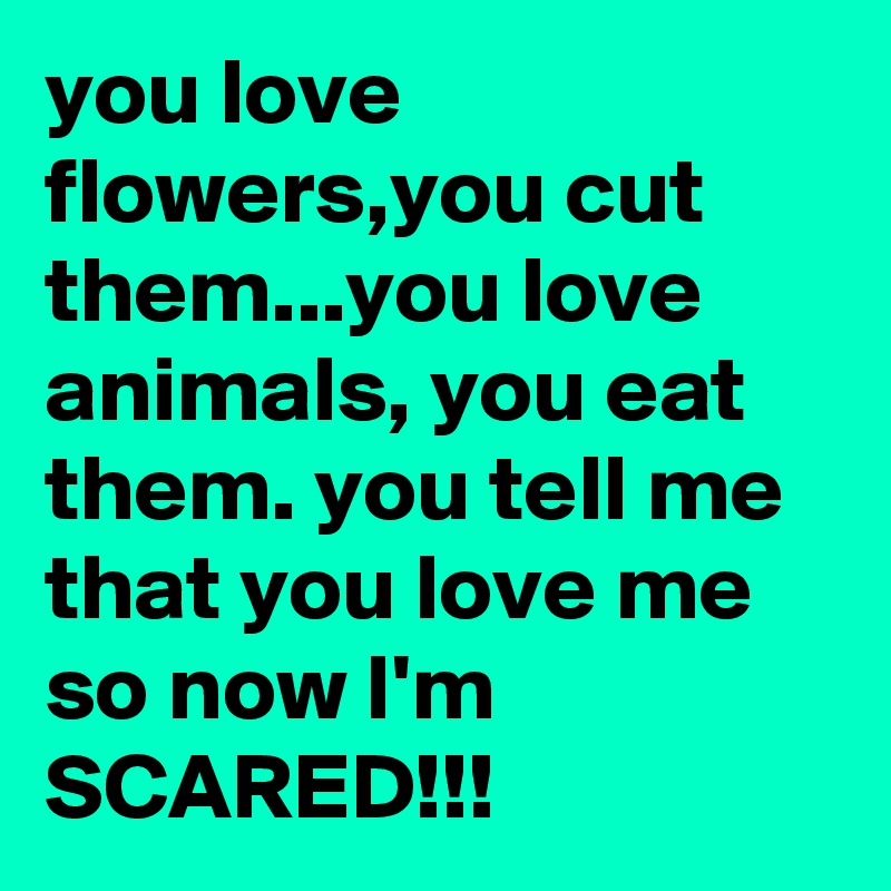 you love flowers,you cut them...you love animals, you eat them. you tell me that you love me so now I'm  SCARED!!!