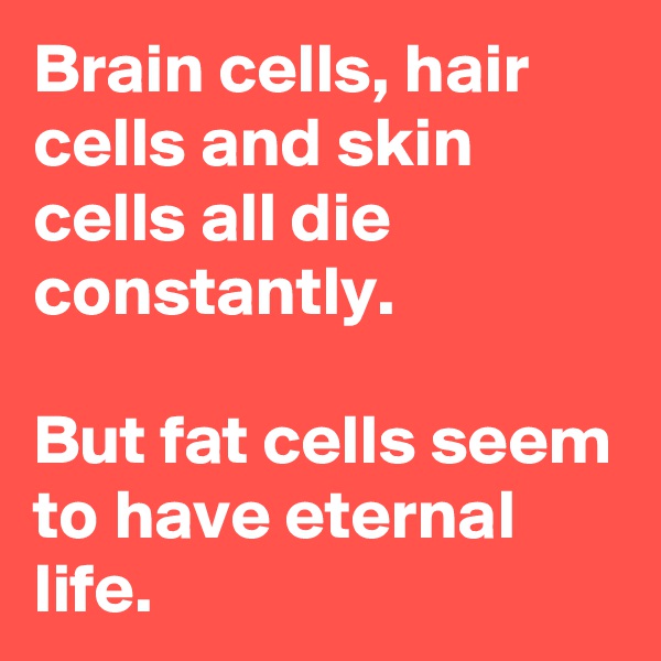 Brain cells, hair cells and skin cells all die constantly.

But fat cells seem to have eternal life.