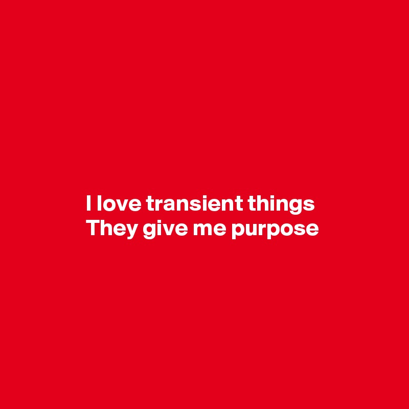 






I love transient things 
They give me purpose





