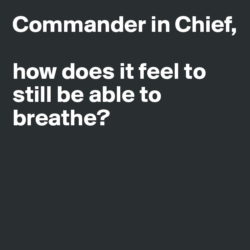 Commander in Chief, 

how does it feel to still be able to breathe? 



