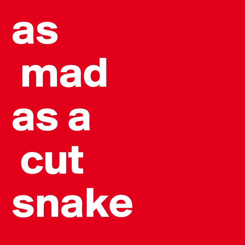 as 
 mad
as a 
 cut 
snake