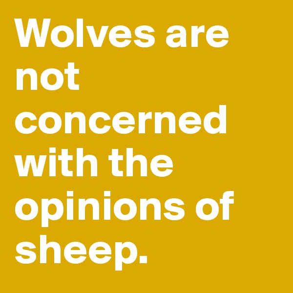 Wolves are not concerned with the opinions of sheep. 
